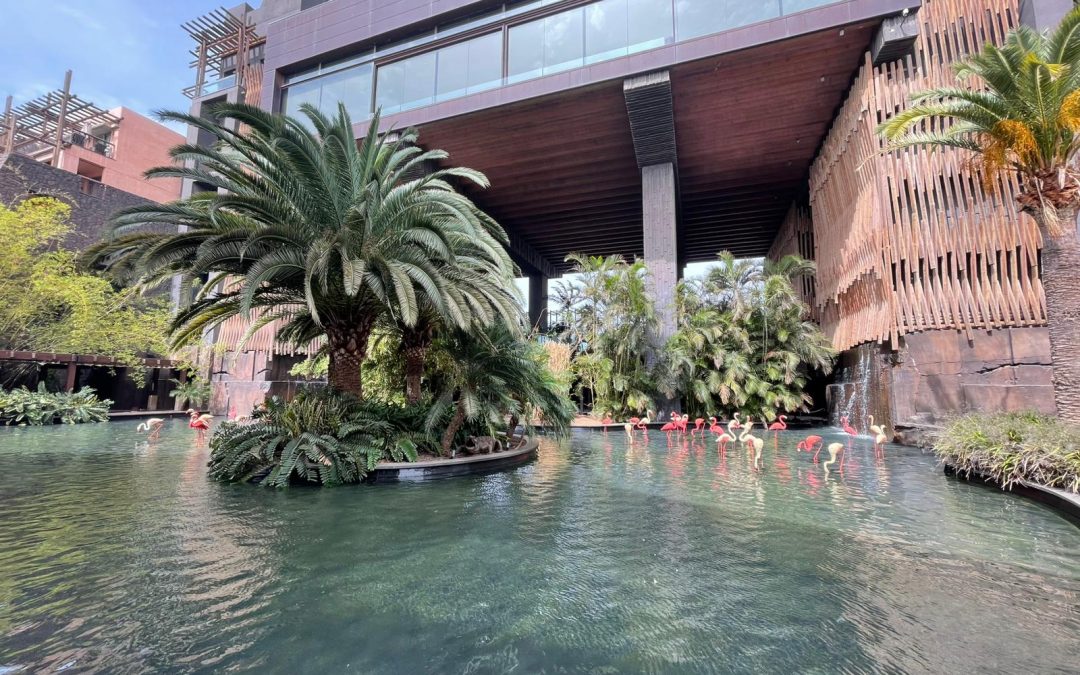 Rehabilitación Estructural e Impermeabilización del Lago Artificial: Hotel Lopesan Baobab